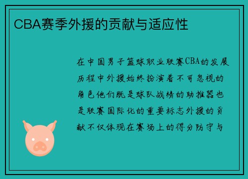 CBA赛季外援的贡献与适应性